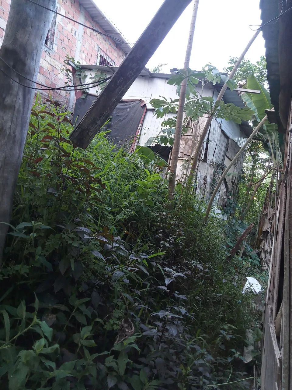 Verdo uma casa no bairro santo Inês 