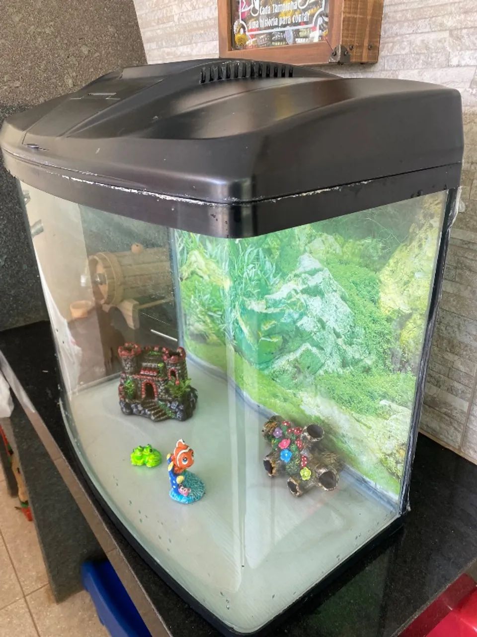 Aquário 80 litros - Foto 2