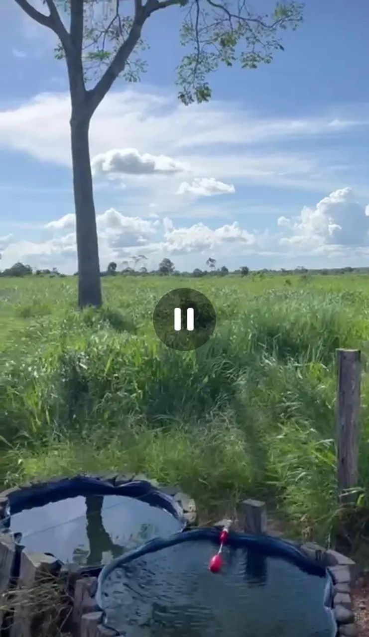 Fazenda de gado para venda com 154,8 hectares em Ipixuna do Pará