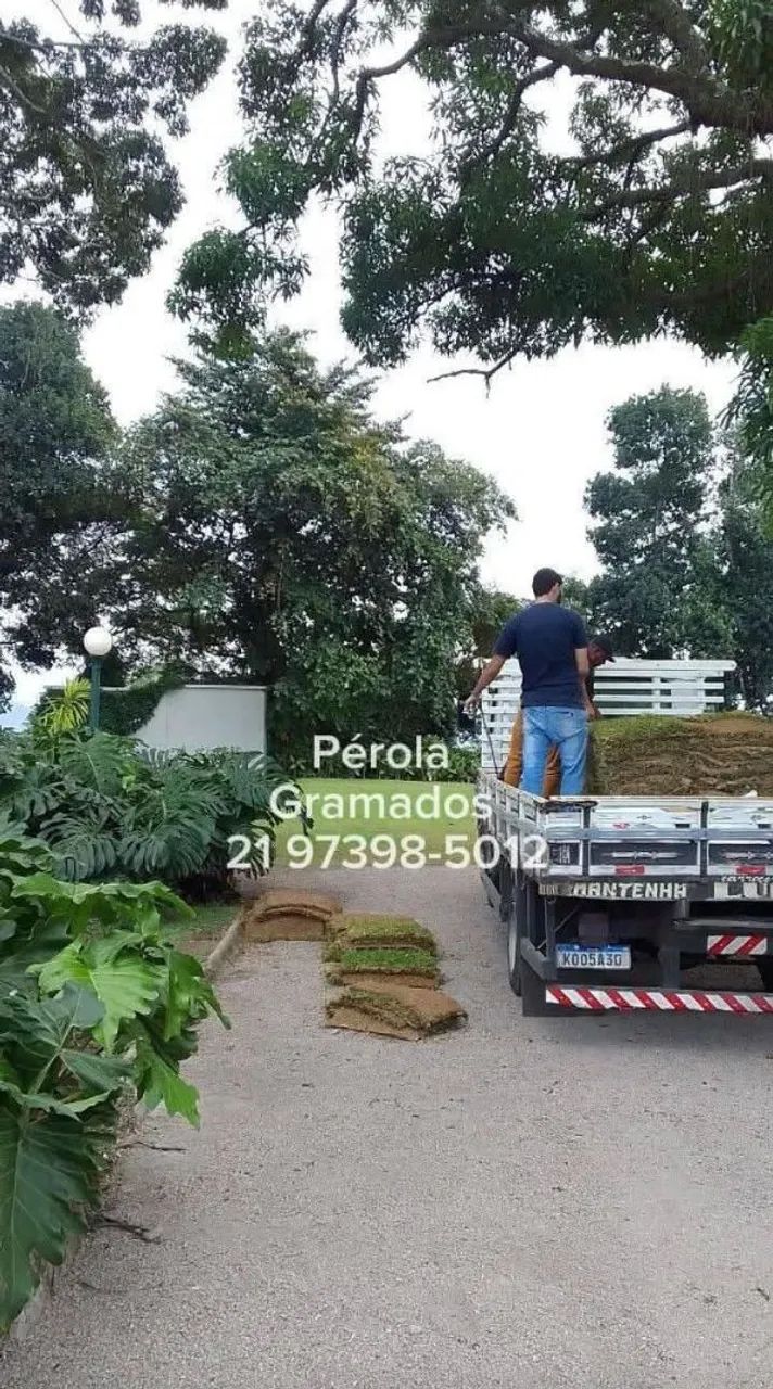 Grama Esmeralda Natural e plantio de Grama - Foto 6