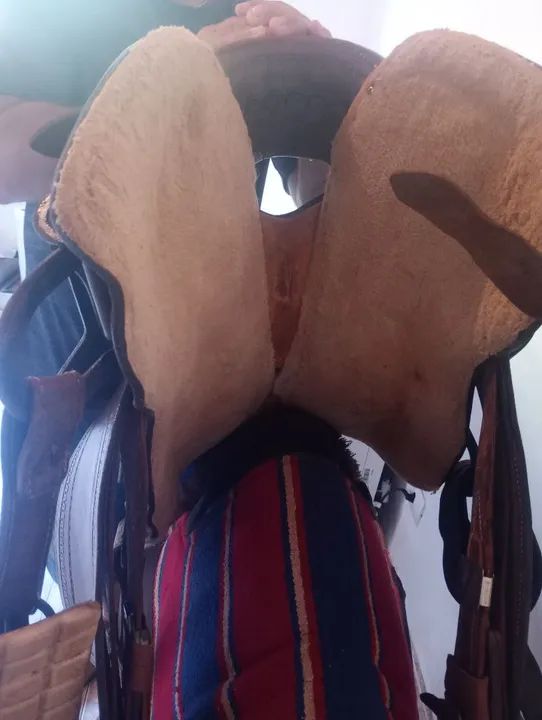 Sela Americana de laço  - Foto 3