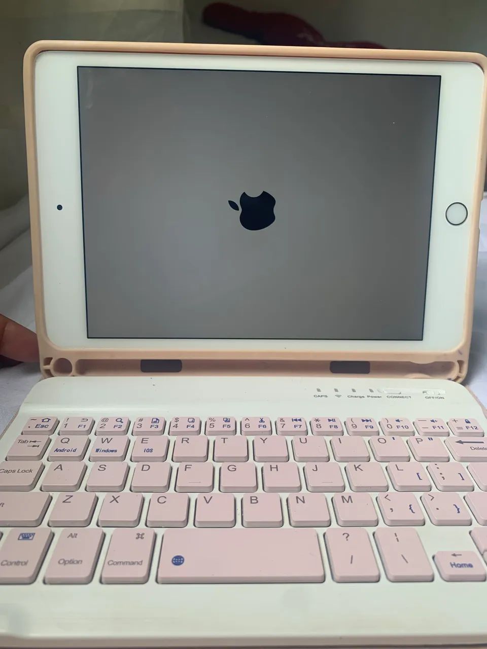 iPad mini 5ª geração 256 GB - Rose Gold + Teclado e Capa Rosa