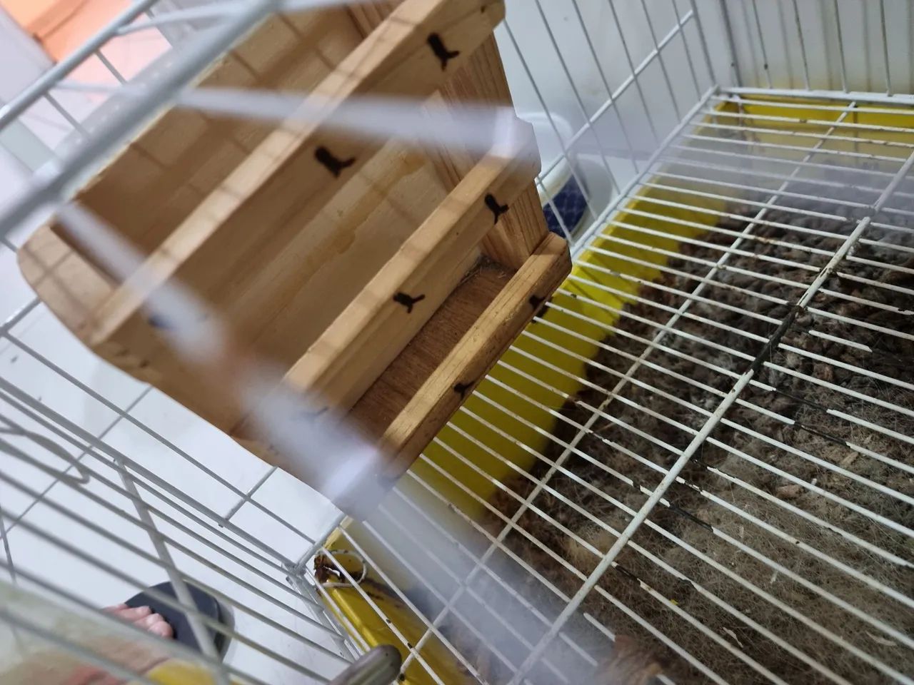 Ração para roedores PIC NIC 1,8kg - Coelhos, Porquinho da india e ramster + BRINDES - Foto 3