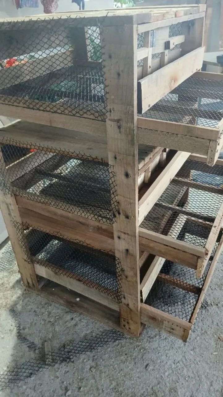 Viveiro para codornas  - Foto 4