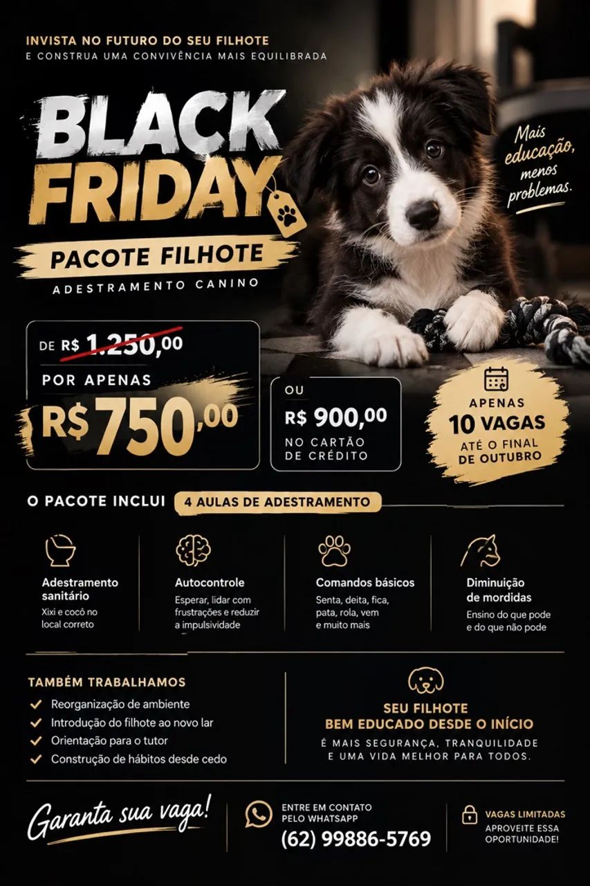 Adestramento para filhotes | @tdacademygo