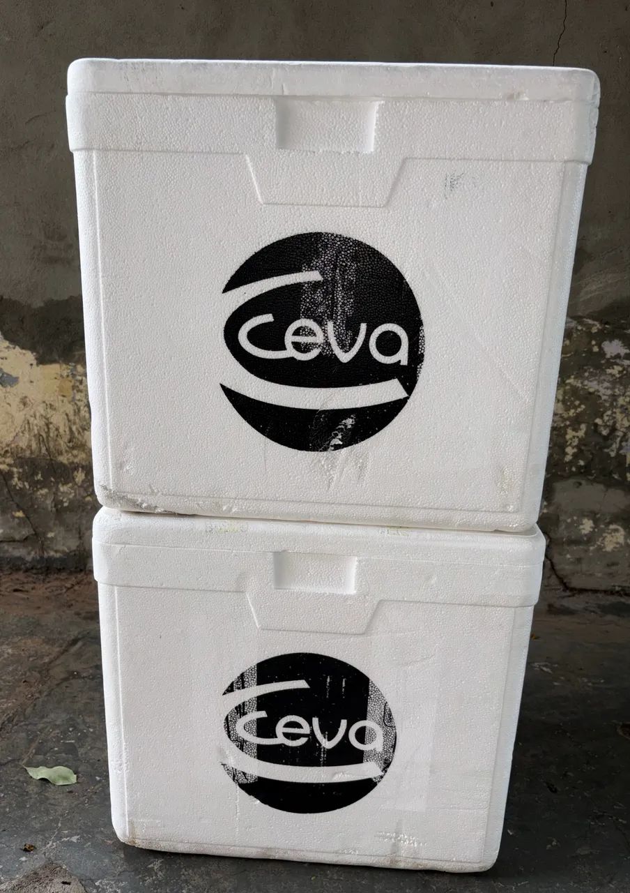 Caixas de isopor 45 ltr e Gelox