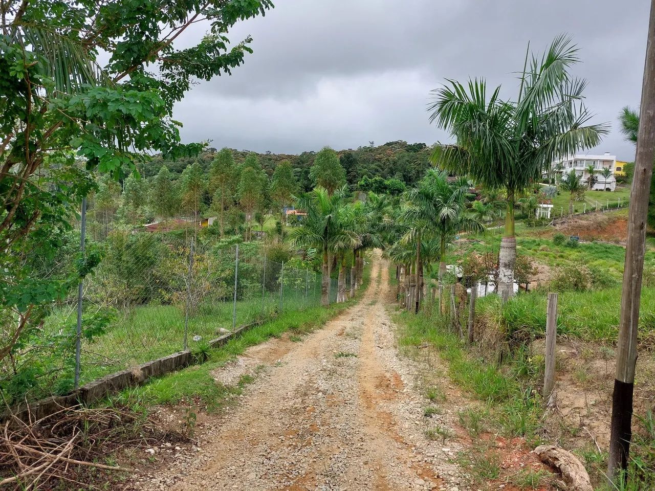 TERRENO PARA CHÁCARA  - Foto 4