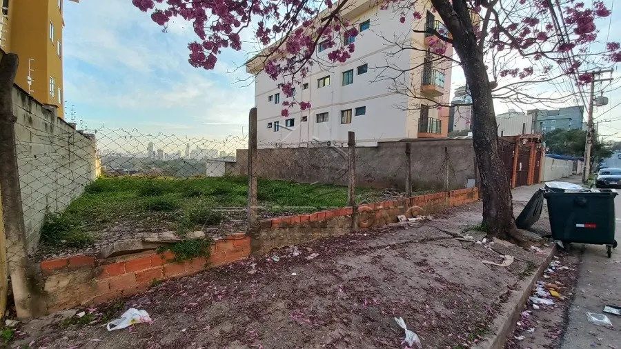 TERRENO CAMPOLIM - Foto 4