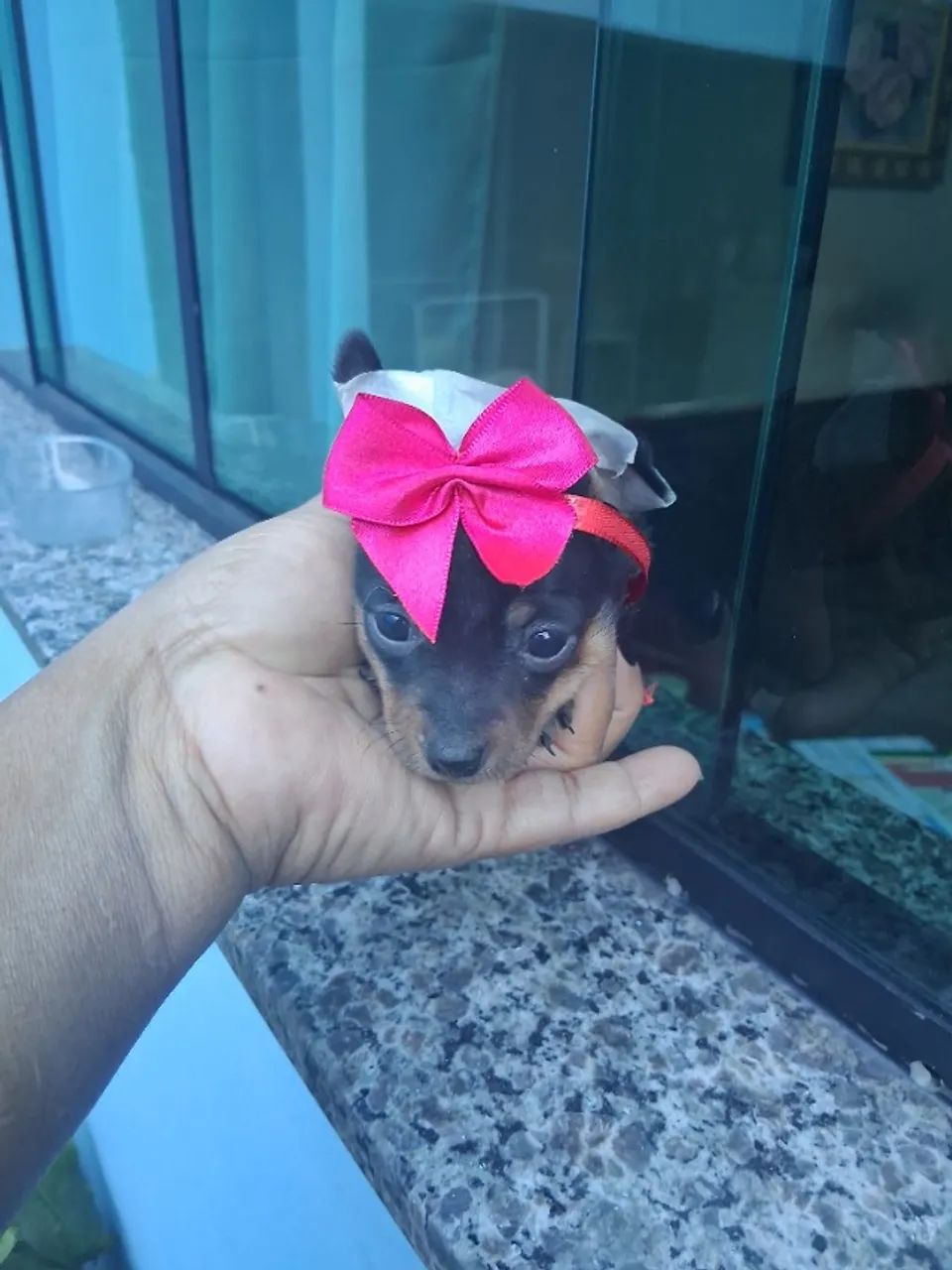 Femeas depinche - Foto 4