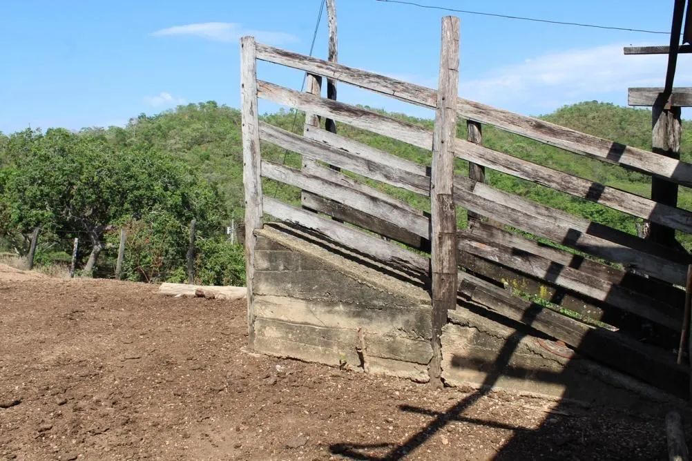 Vendo Fazenda de 26 Alqueires 02 Rios terra de Cultural, Mimoso Goiás. - Foto 5