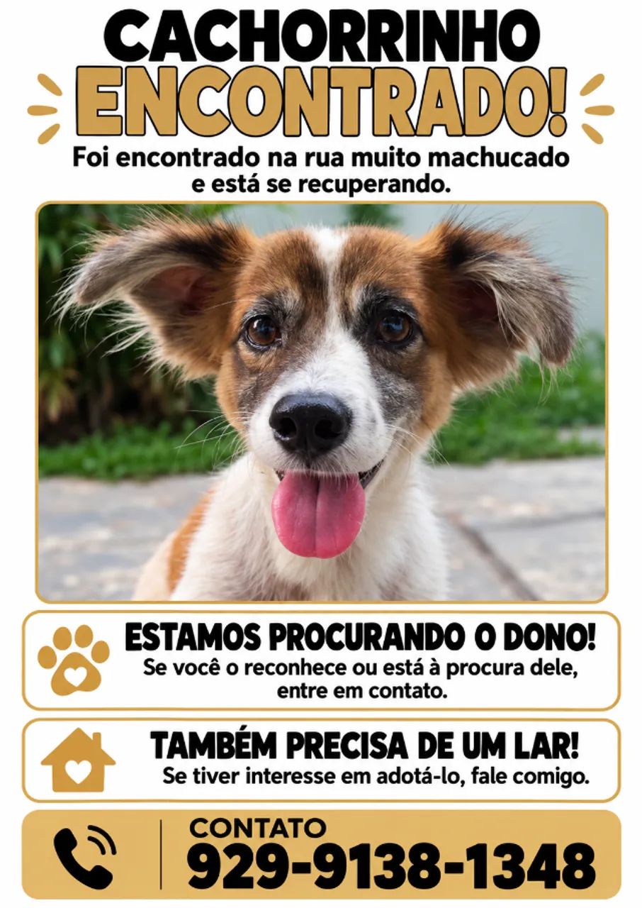 Adotar Cachorro  - Foto 2