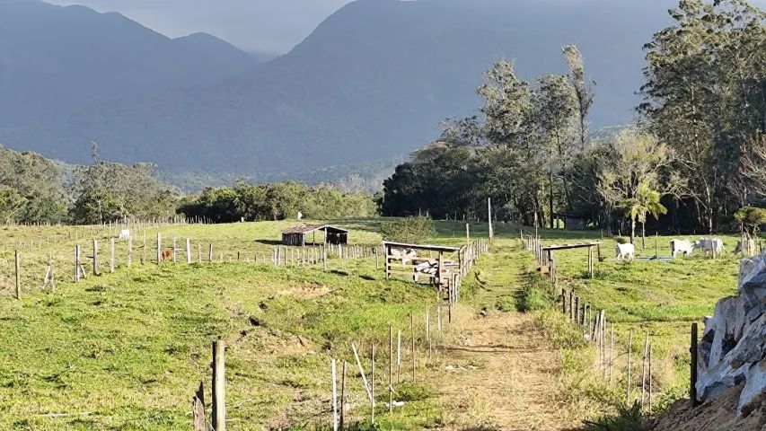 Terreno Sul do Rio - Santo Amaro da Imperatriz - Foto 3