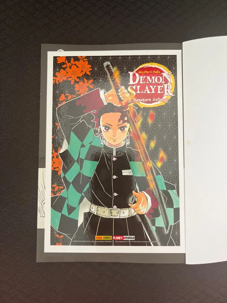 Mangá Demon Slayer Volume 3 - Foto 4