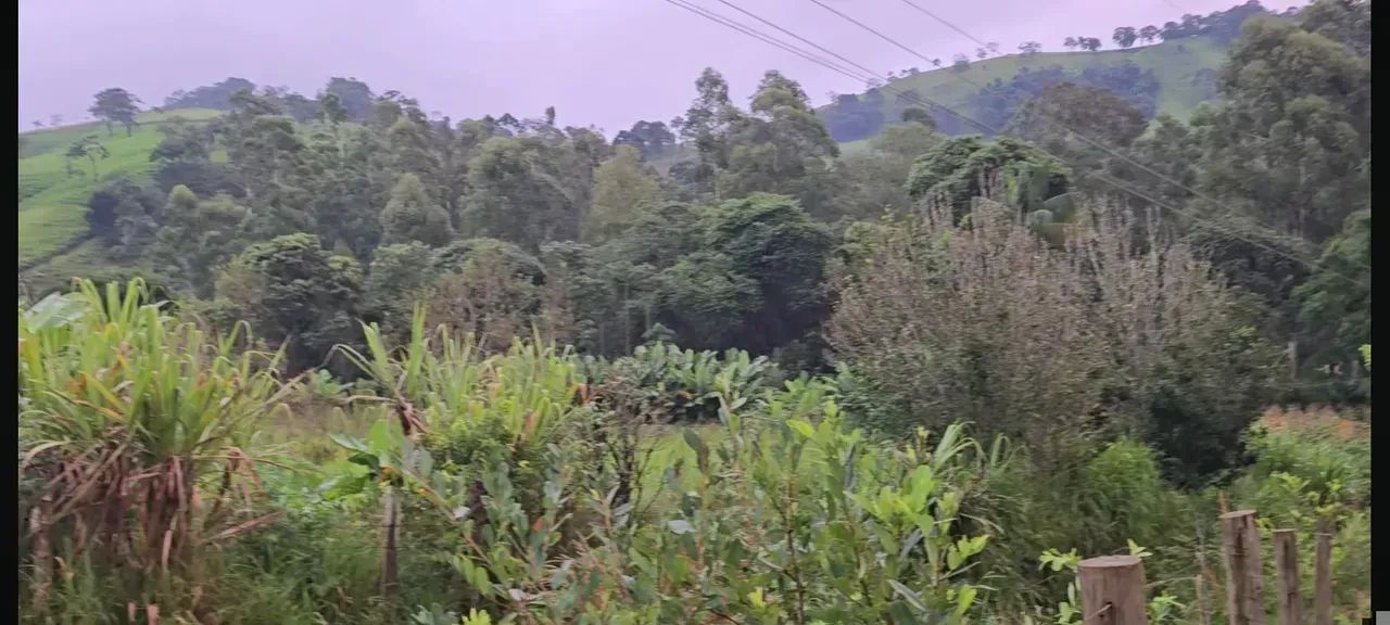 CHÁCARA EM BOM REPOUSO - Foto 4