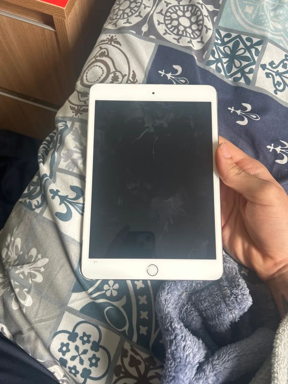 iPad mini 3