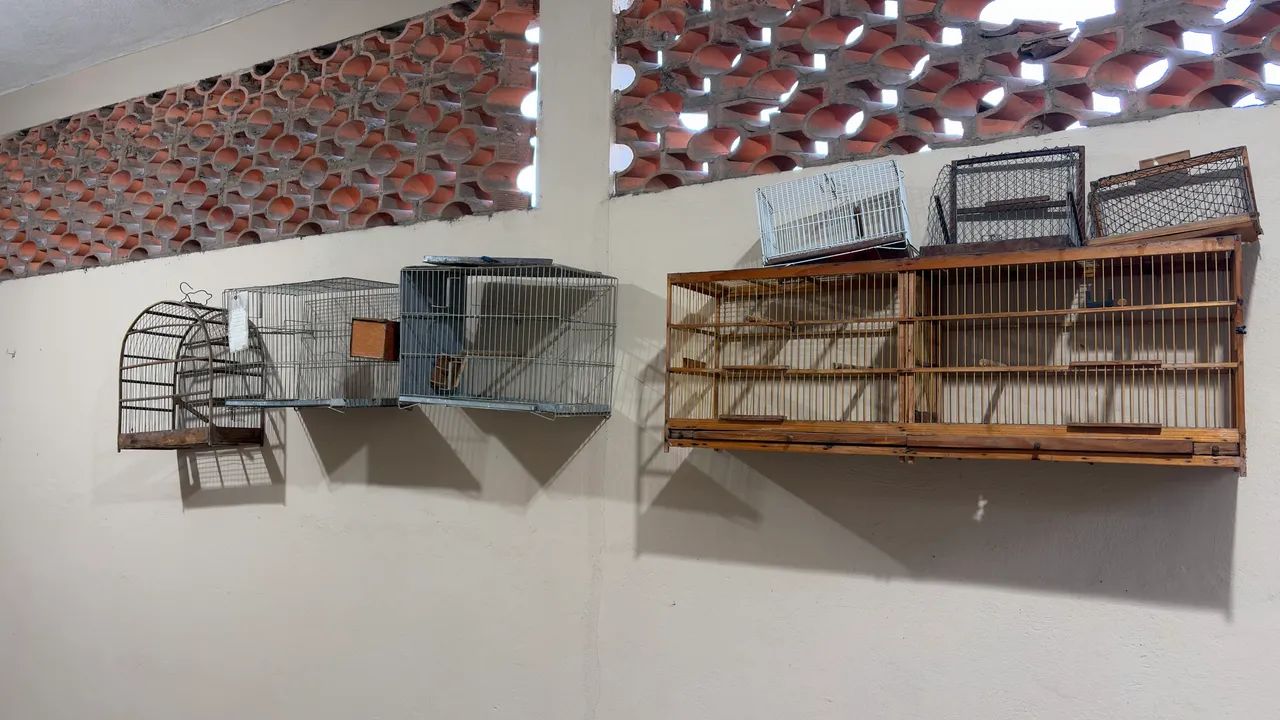 Gaiolas para Pássaros - Foto 3