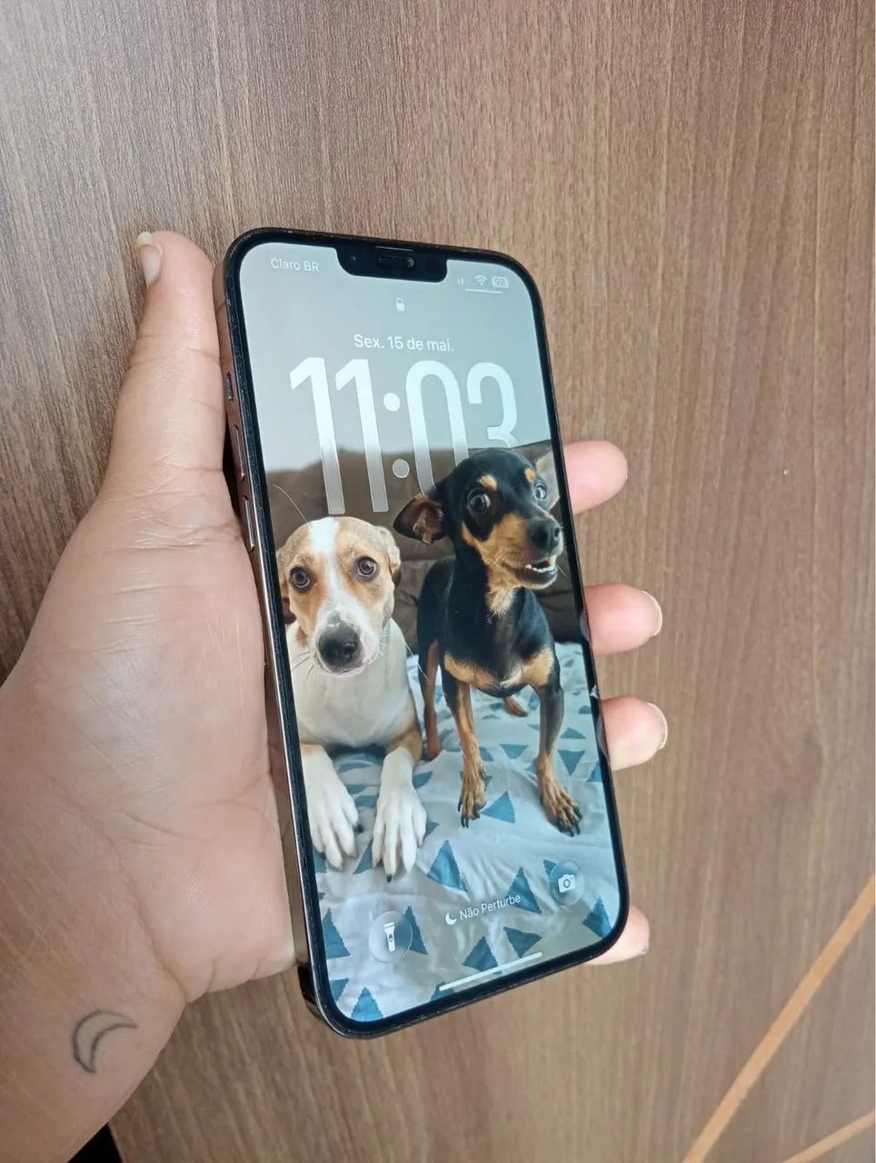 iPhone 13 Pro Max  - Foto 2
