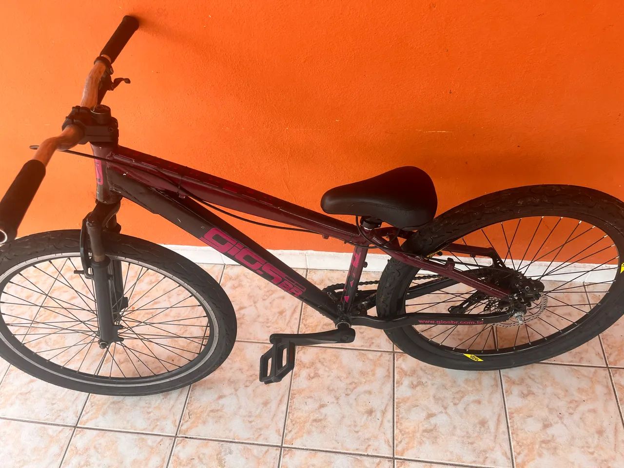 Gios roxa rara - Foto 3