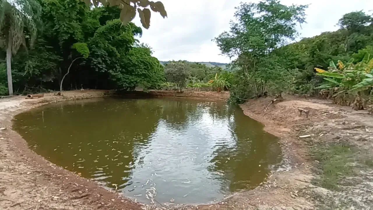 Fazenda/Sítio/Chácara para venda possui 170 metros quadrados com 3 quartos - Foto 3