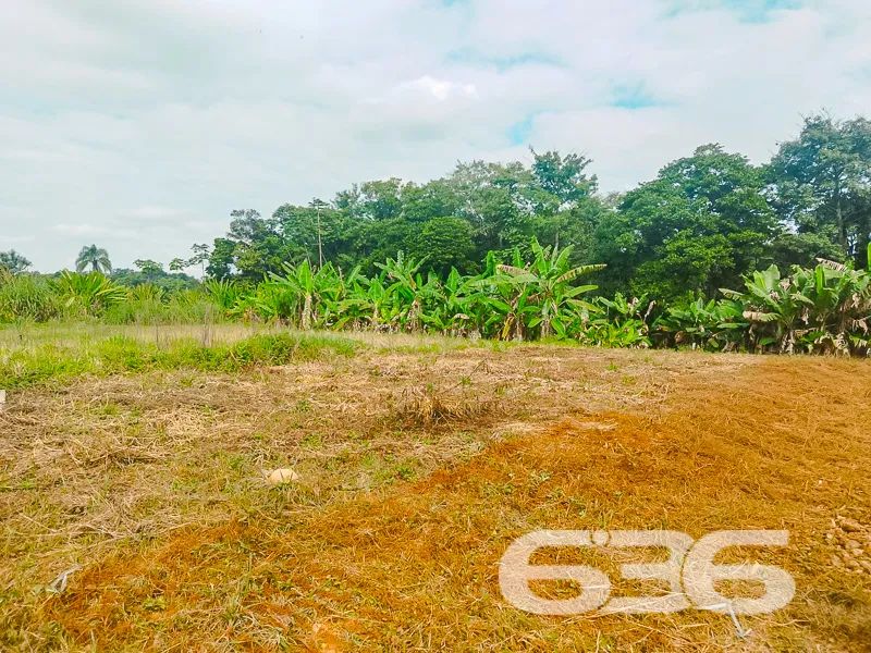 Terreno | Joinville | Pirabeiraba - Foto 2