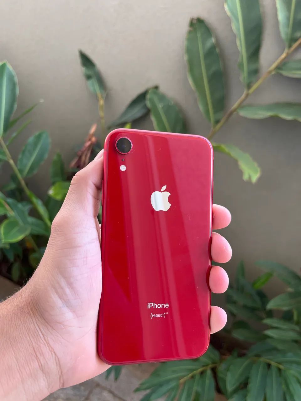 iPhone XR 