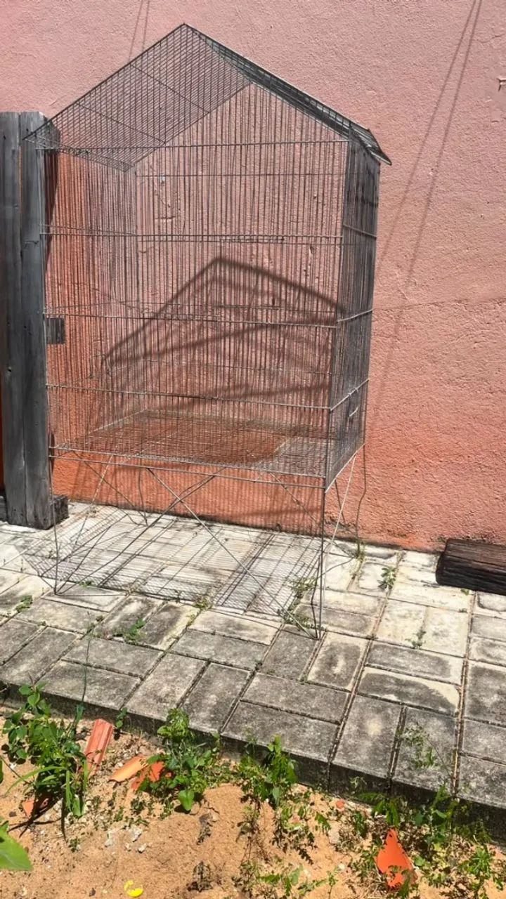 Gaiola grande para Calopsita - Foto 4