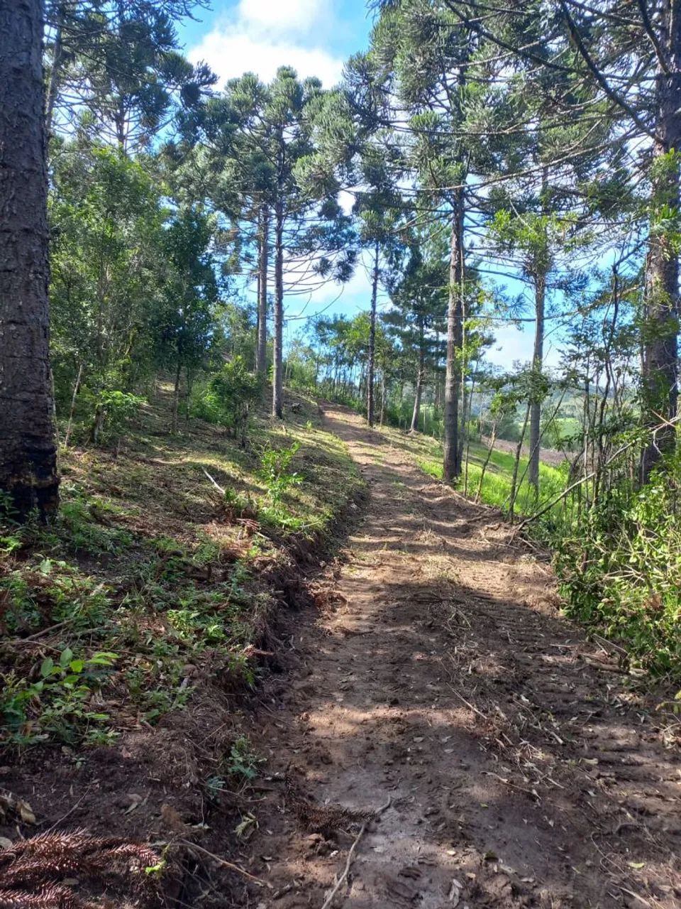 Formação de chácaras  - Foto 5