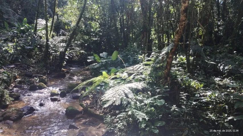 Chácara em Tapiraí  - Foto 3