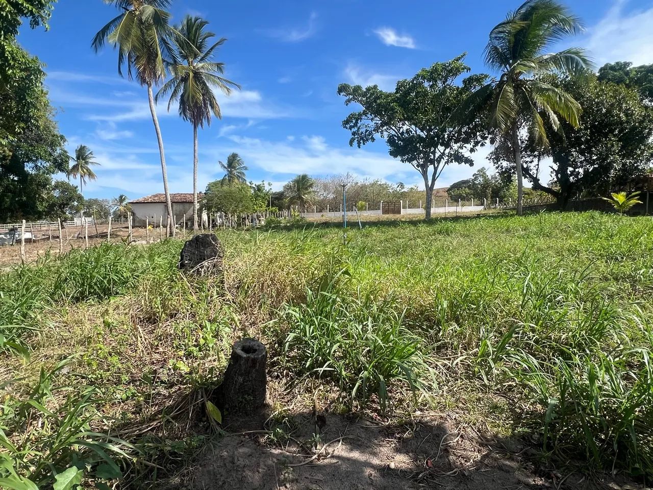 Vendo terreno para chácara top  - Foto 4