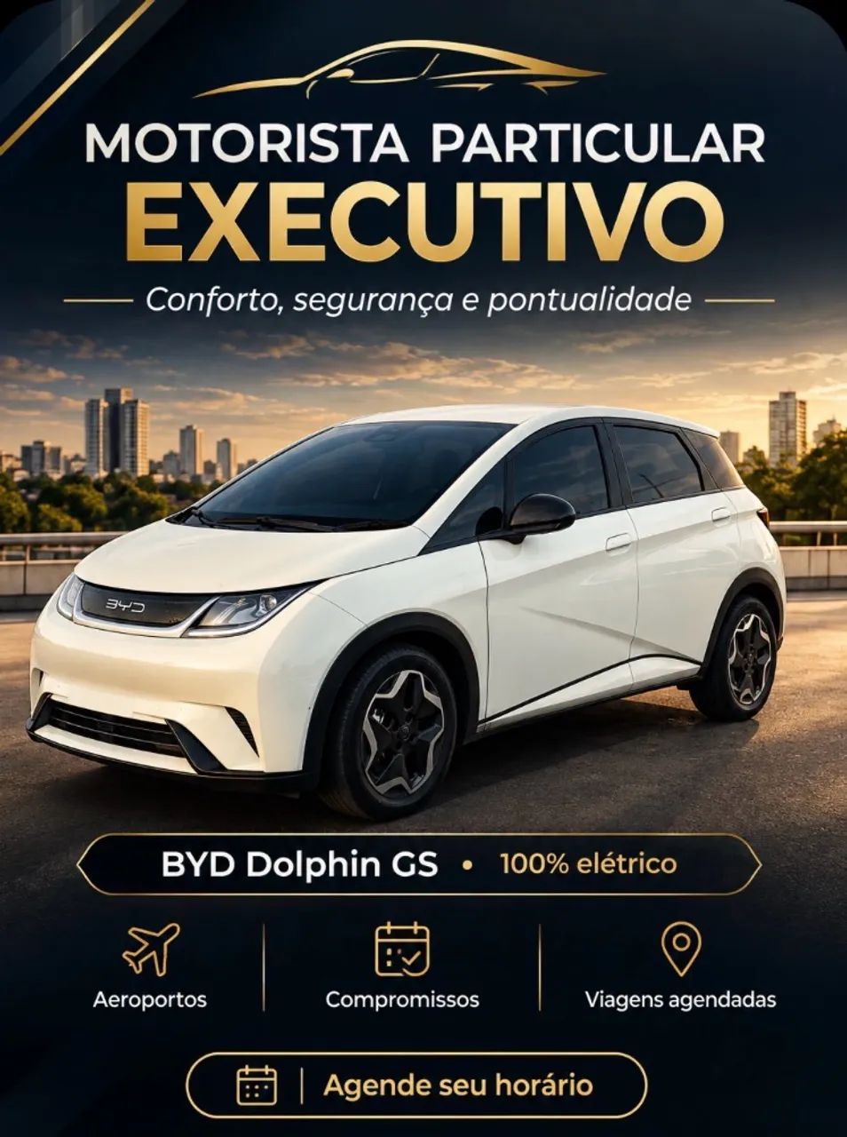 Motorista particular 