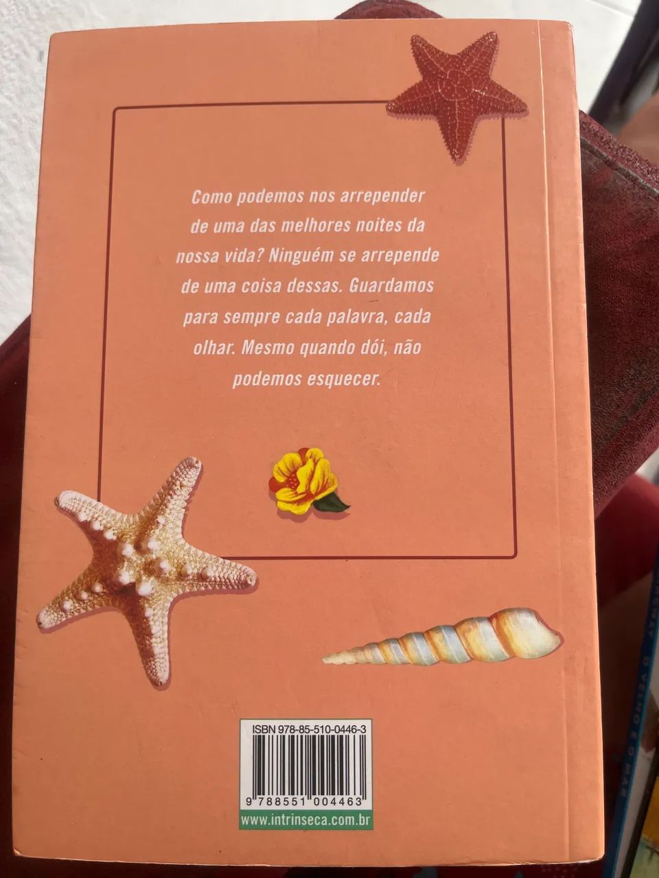 Livro Sem Você não é verao - Foto 2