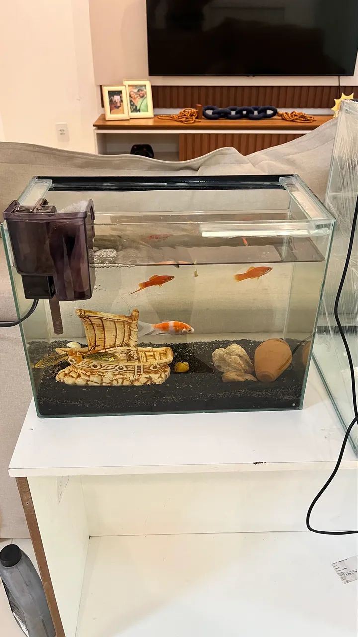 AQUÁRIO 24L - Foto 2