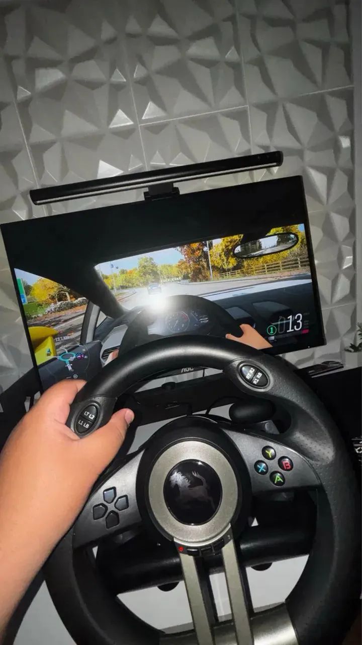 Volante Gamer PXN