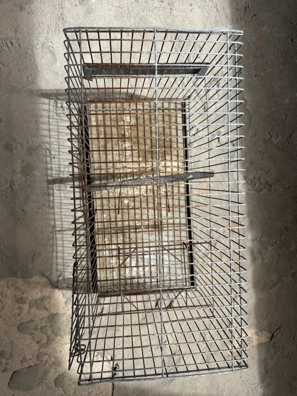 Gaiola De Ferro - Foto 2