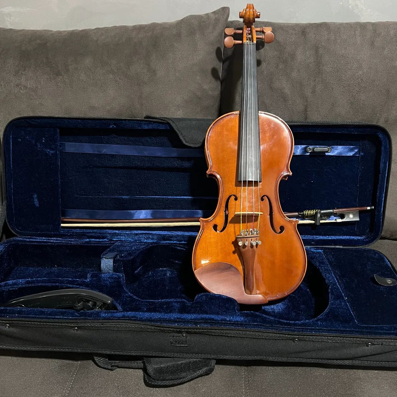 Violino Eagle VE 441completo