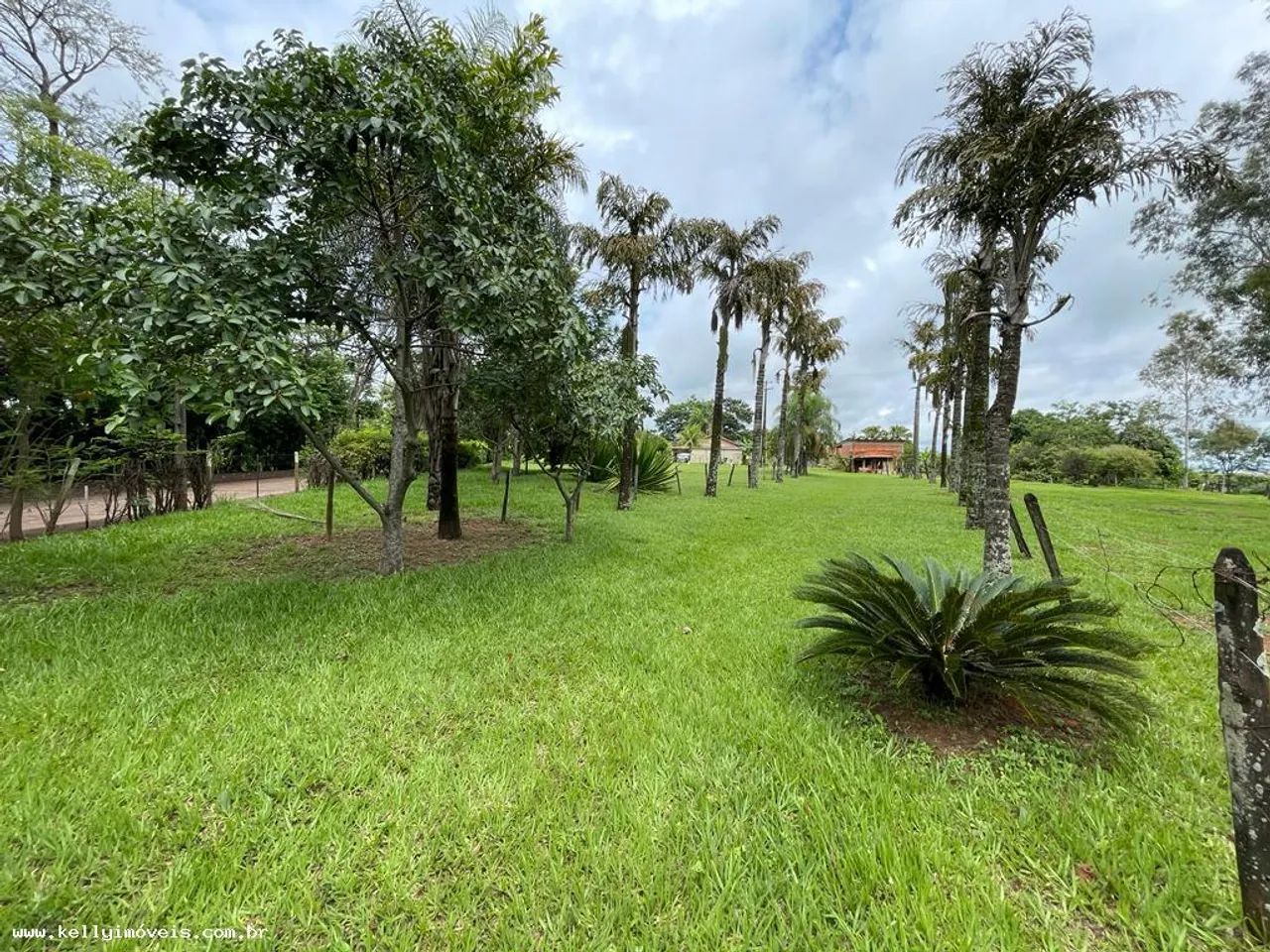 Chácara para Venda em Presidente Prudente / SP no bairro Área Rural - Foto 10