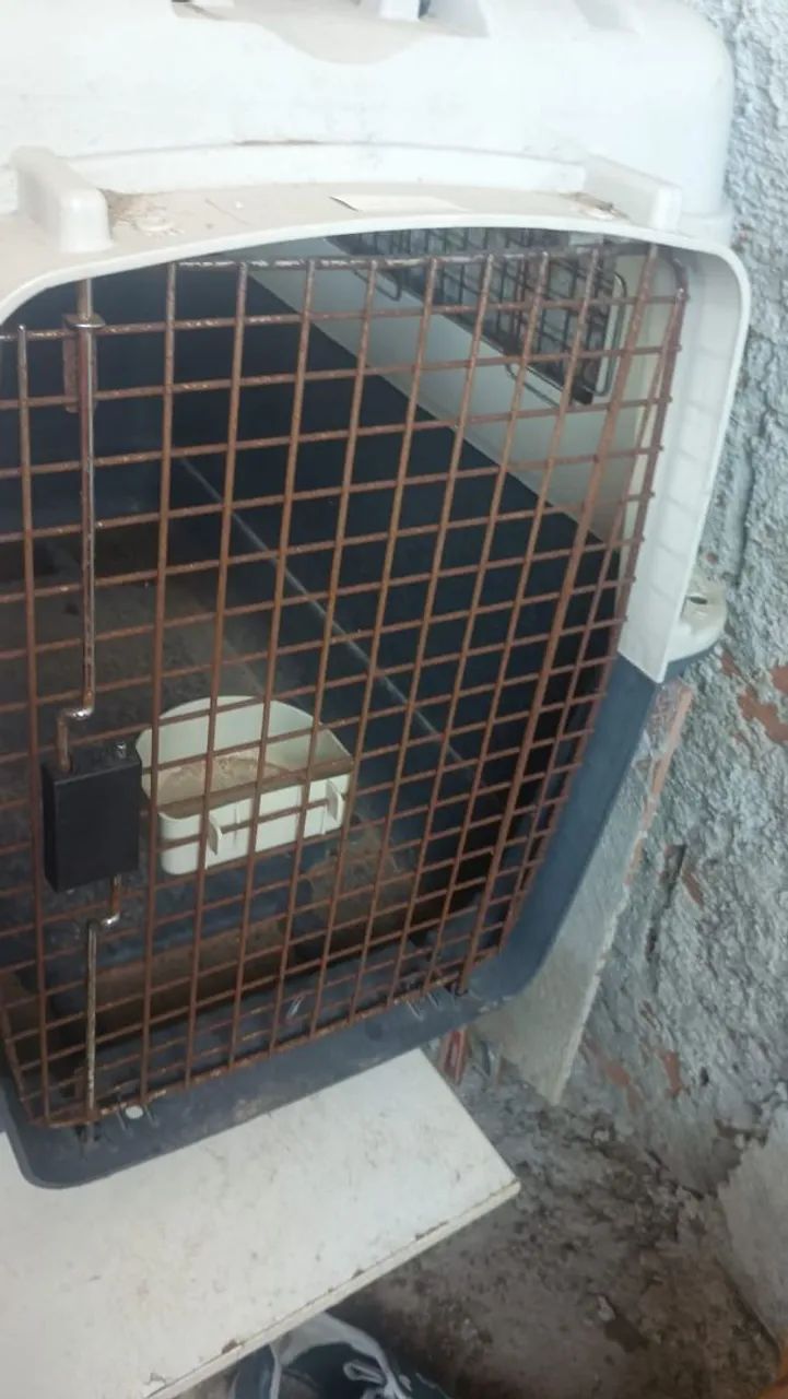 Porta mala de cachorro 