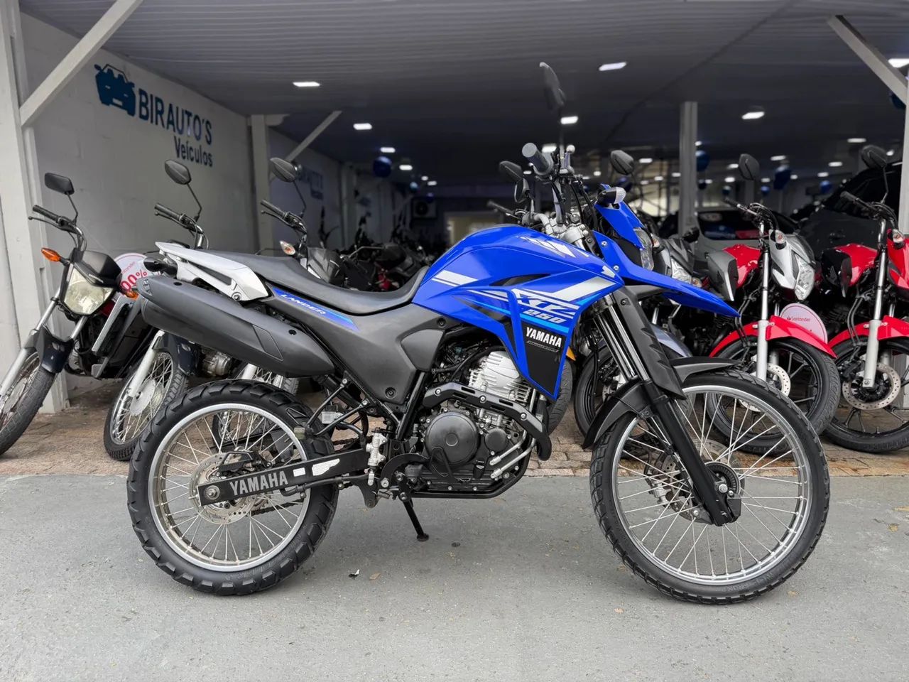 LANDER 250 2022 - Foto 2