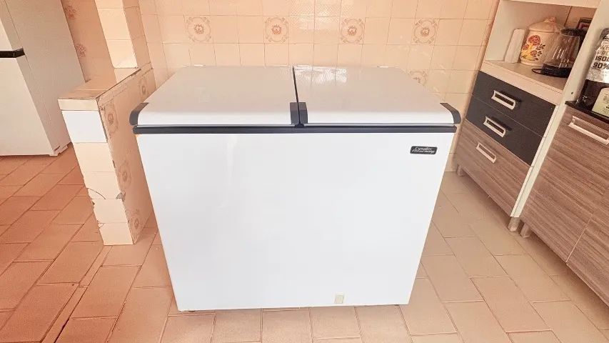 Freezer Horizontal 303L