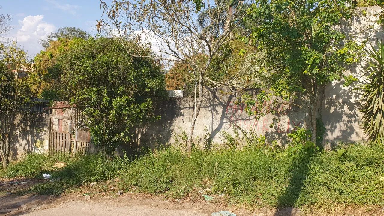 Terreno no palanque 