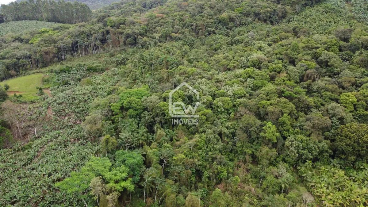 Chácara com Área Total de 20.000m² em Massaranduba, SC - Foto 5