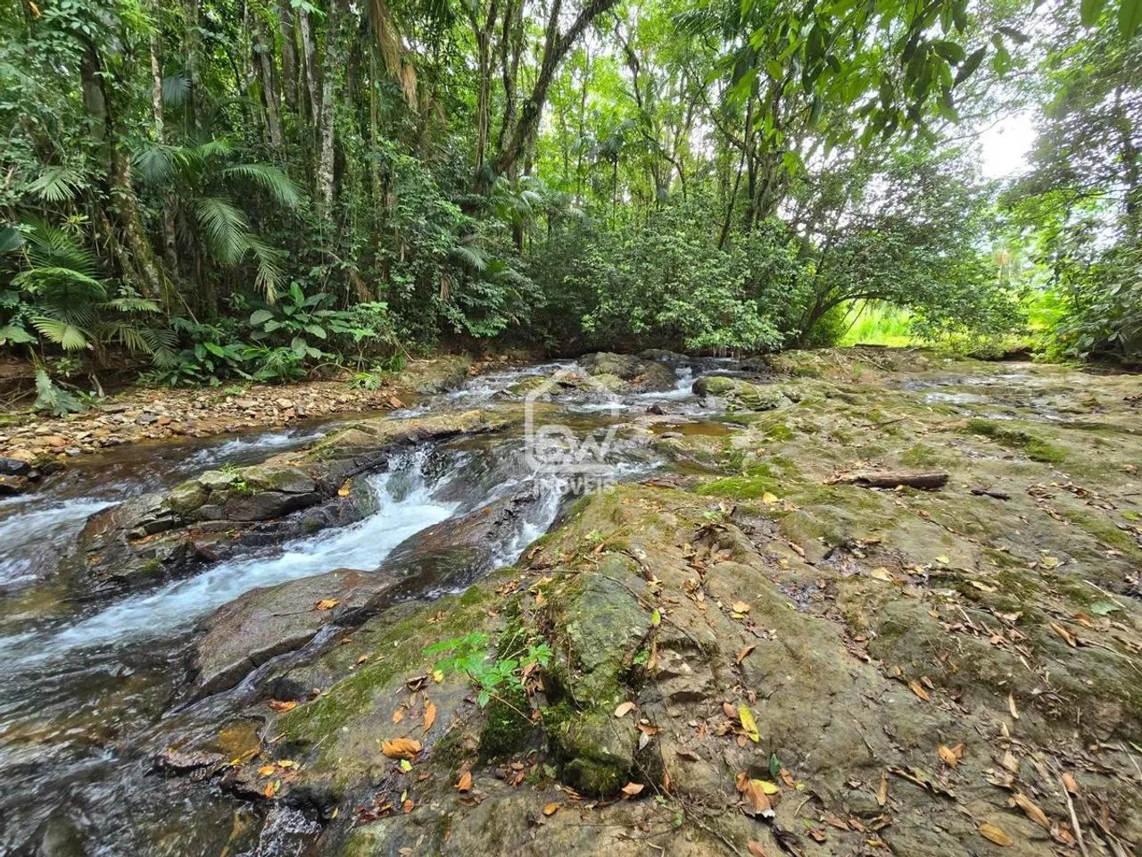 Chácara com Área Total de 21.700m² em Schroeder, SC - Foto 5