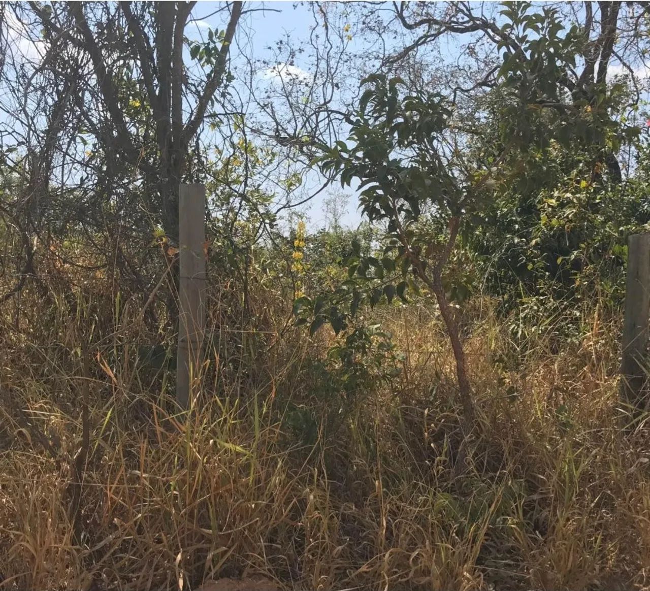 Chácara em Esmeraldas/ Andiroba - Foto 2