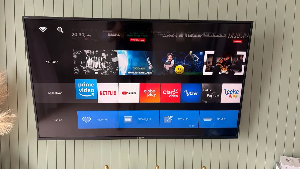 Tv Sony 49 polegadas 4k