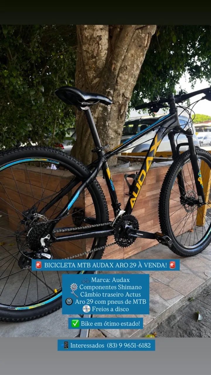 Bike Audax 