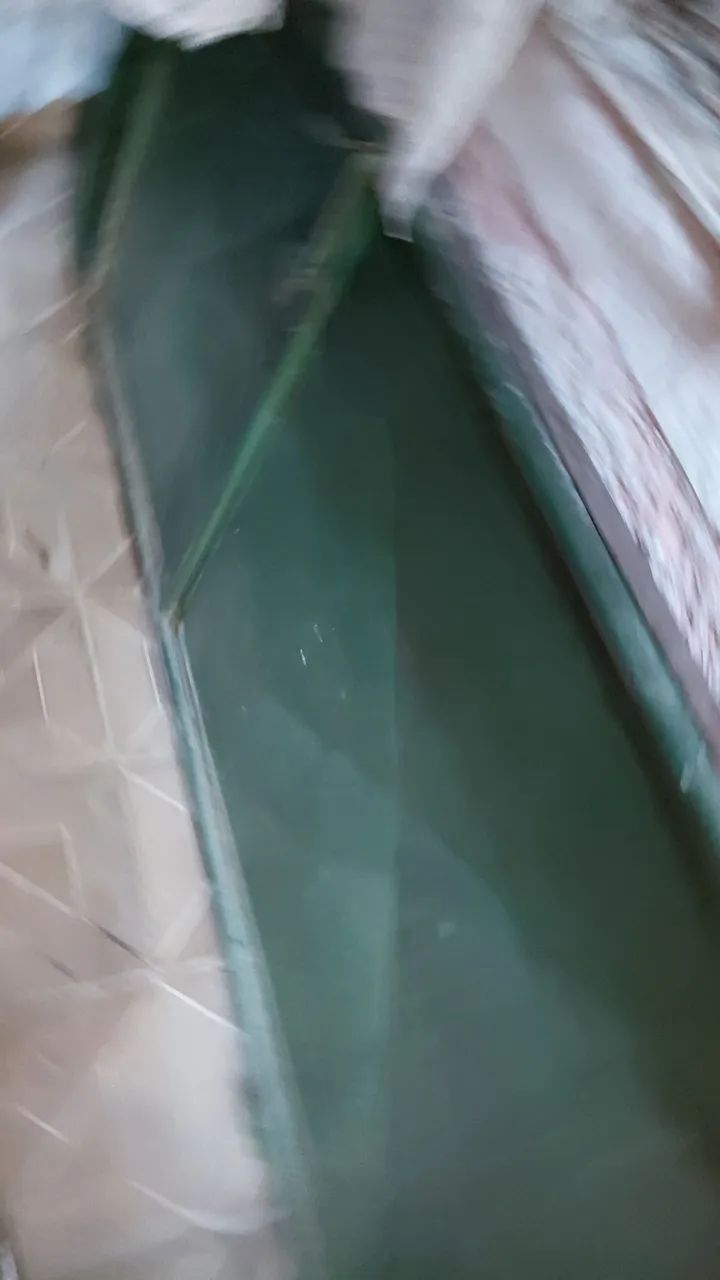 Portão de ferro. 