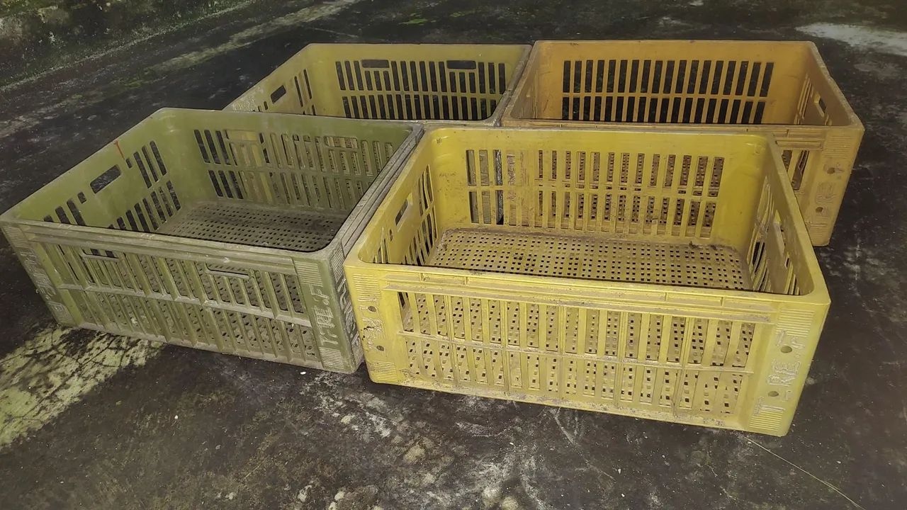 4 CAIXAS AGRÍCOLAS VERDURAS/VEGETAIS  - Foto 2