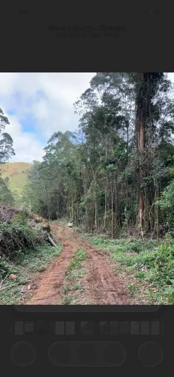 ÁREA RURAL - NOVA FRIBURGO - Foto 5