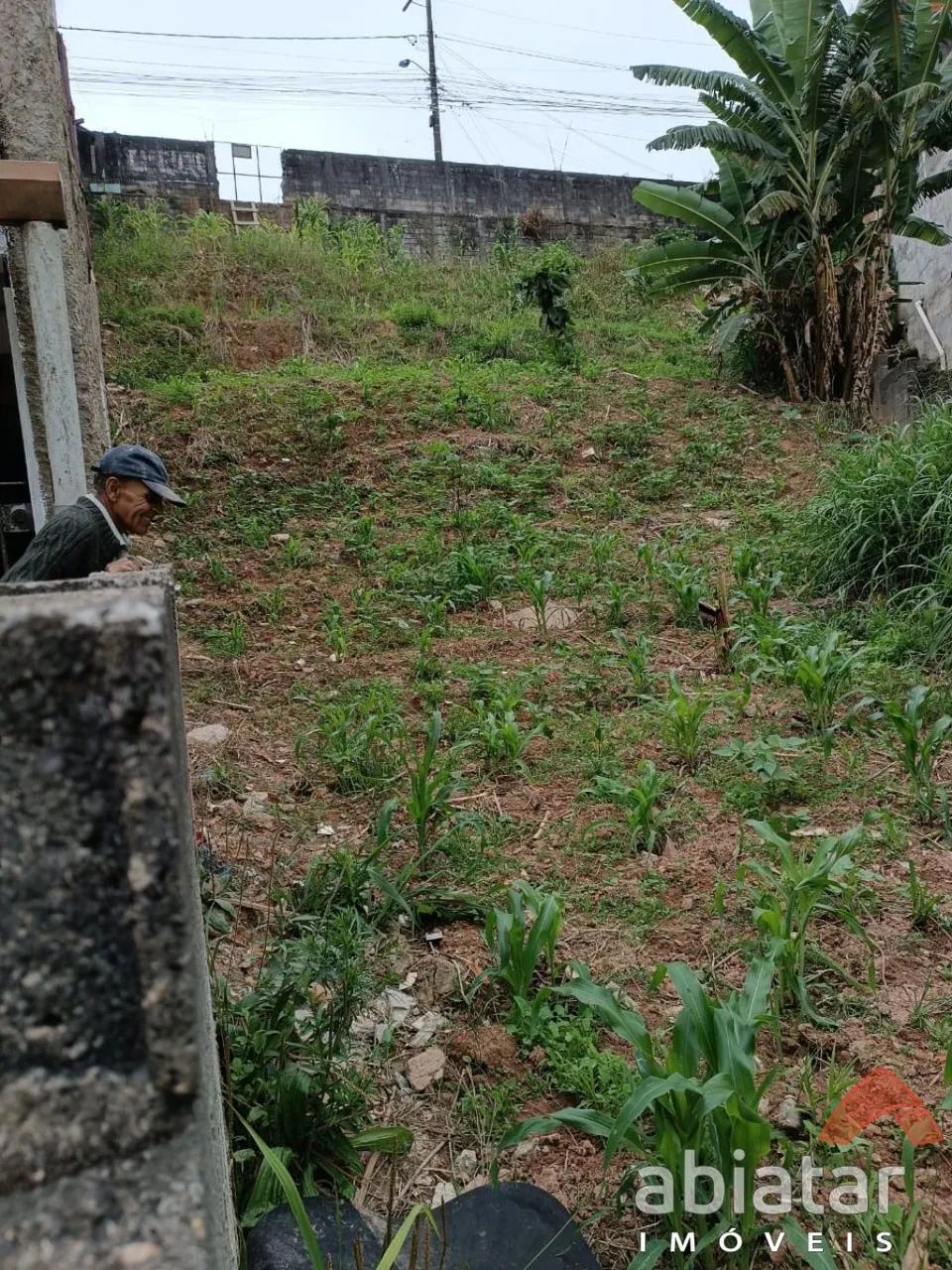 Terreno à venda - Parque Monte Alegre - Taboão da Serra - Foto 3