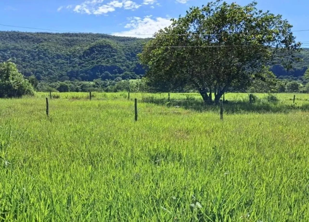 FAZENDA A VENDA - Foto 5